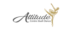 Attitude