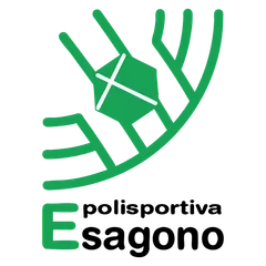 Esagono
